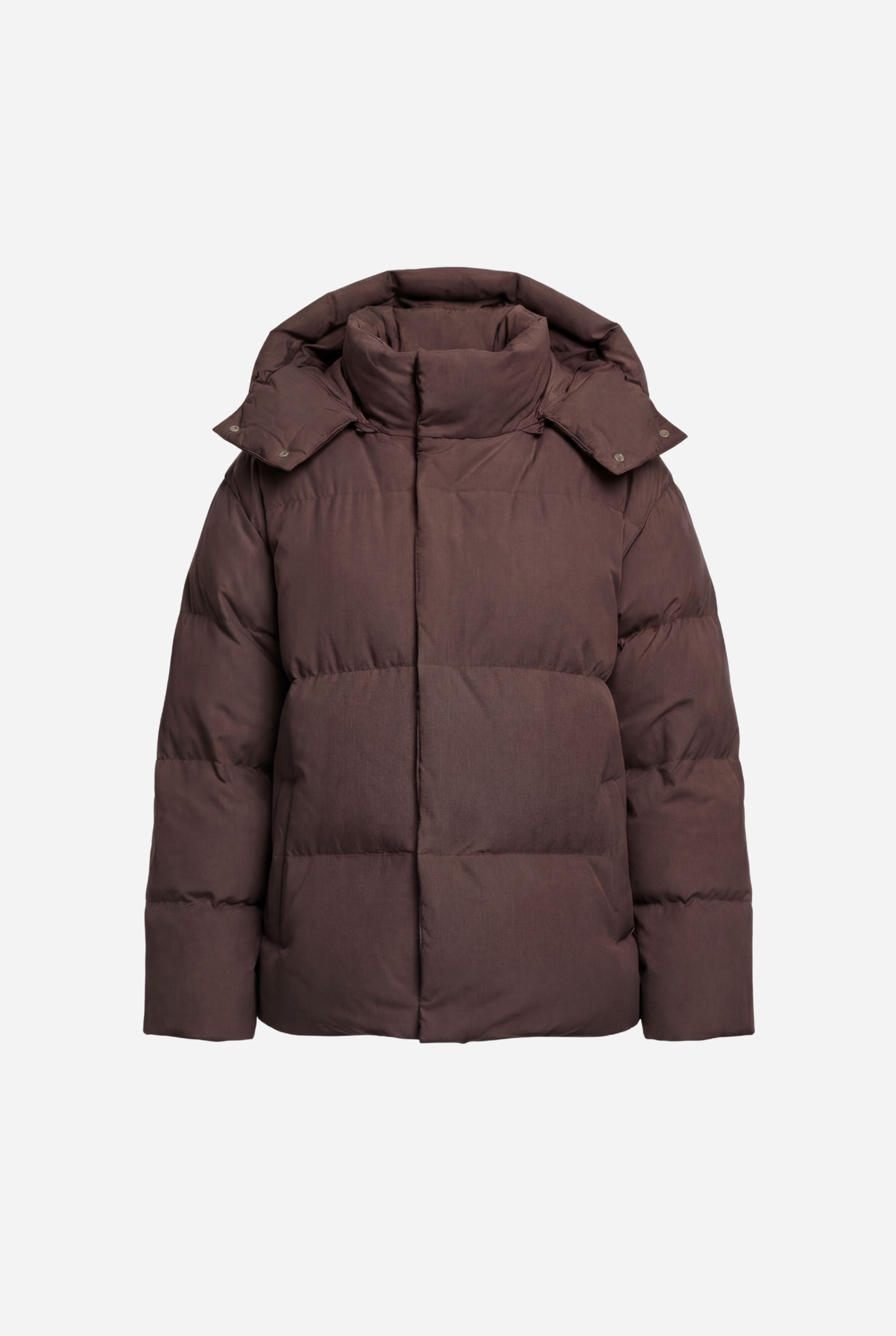 Pūsta žieminė parka