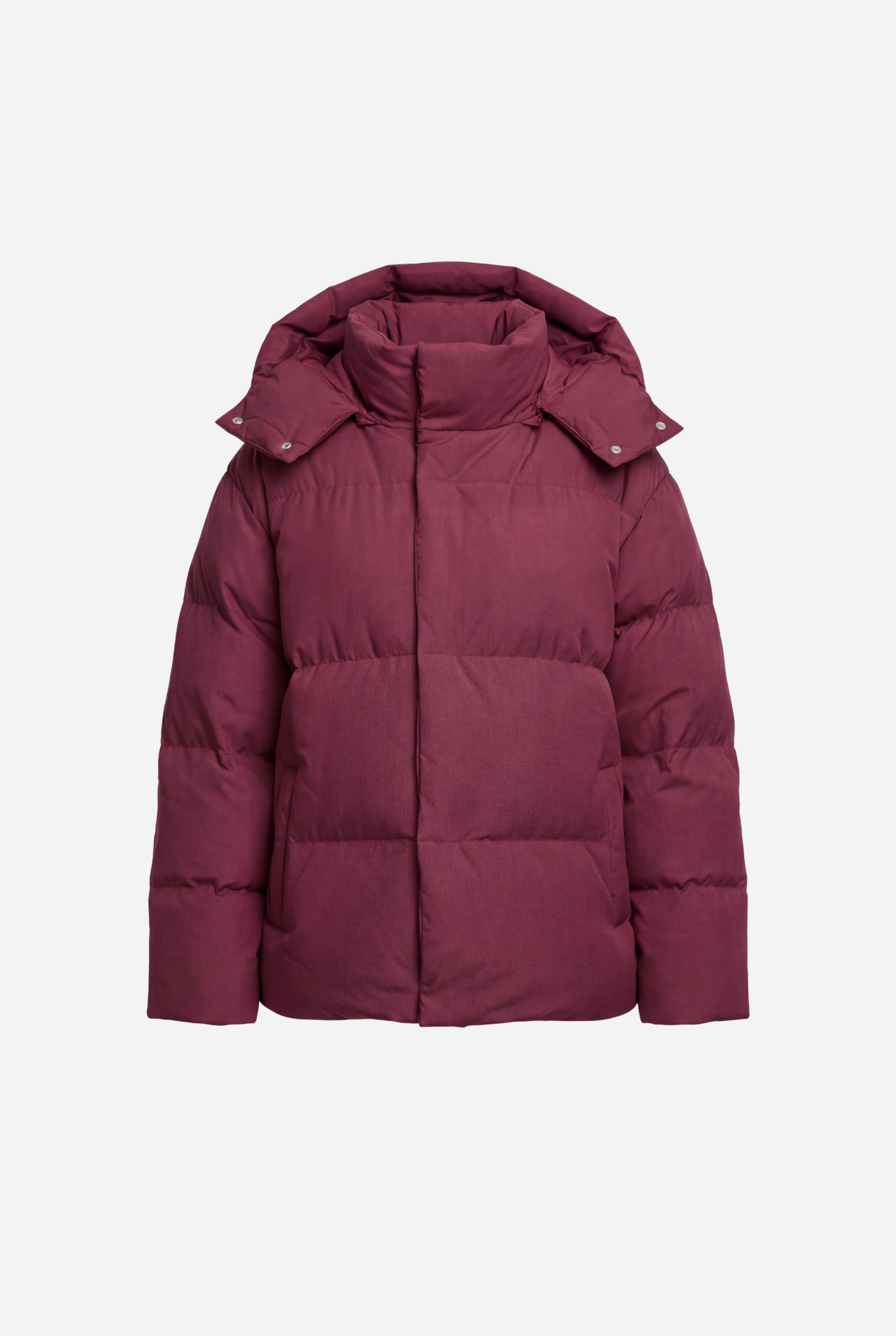 Pūsta žieminė parka