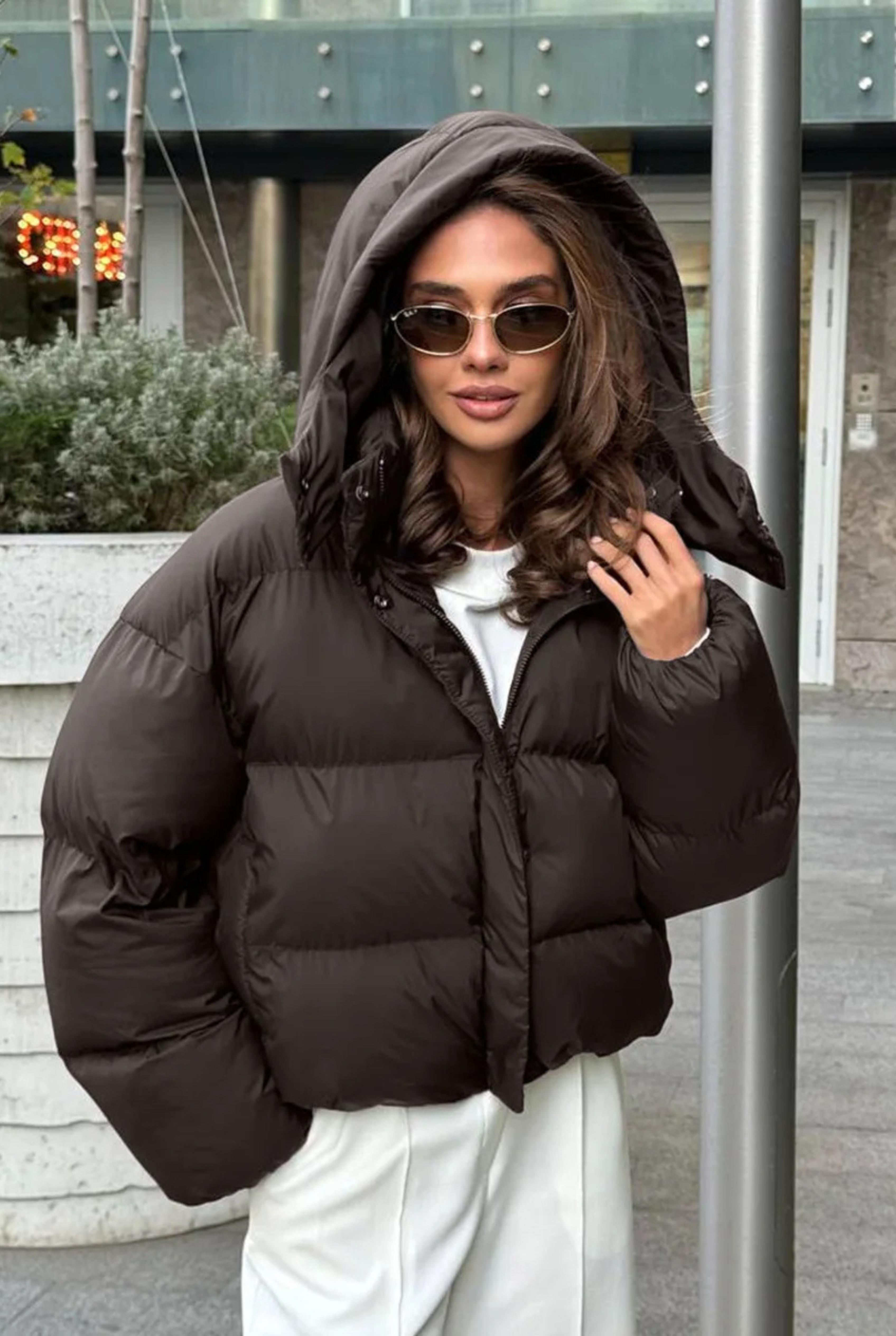 Žieminė pūsta striukė su kapišonu