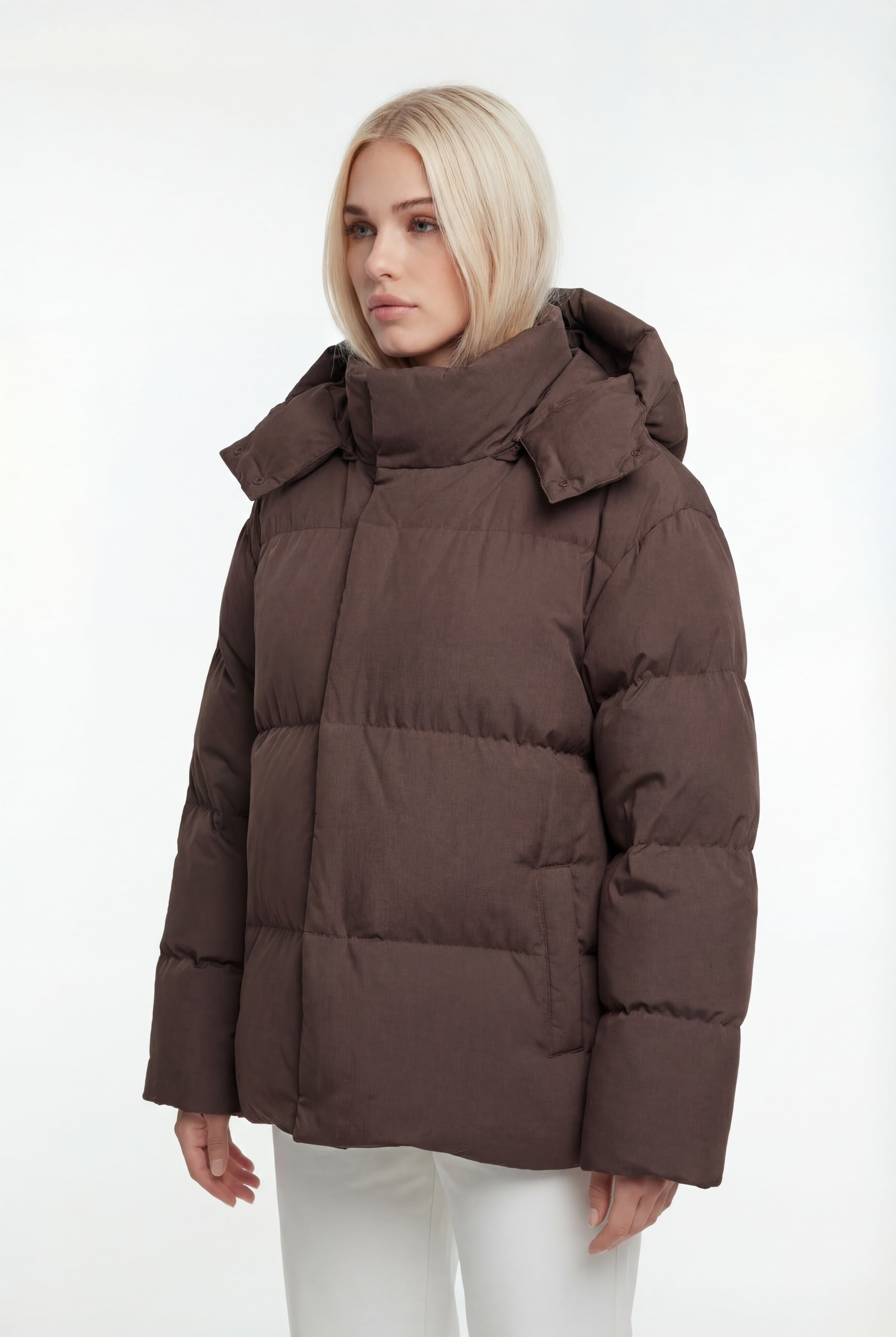 Pūsta žieminė parka