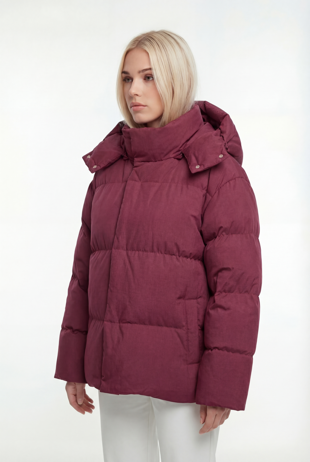 Pūsta žieminė parka