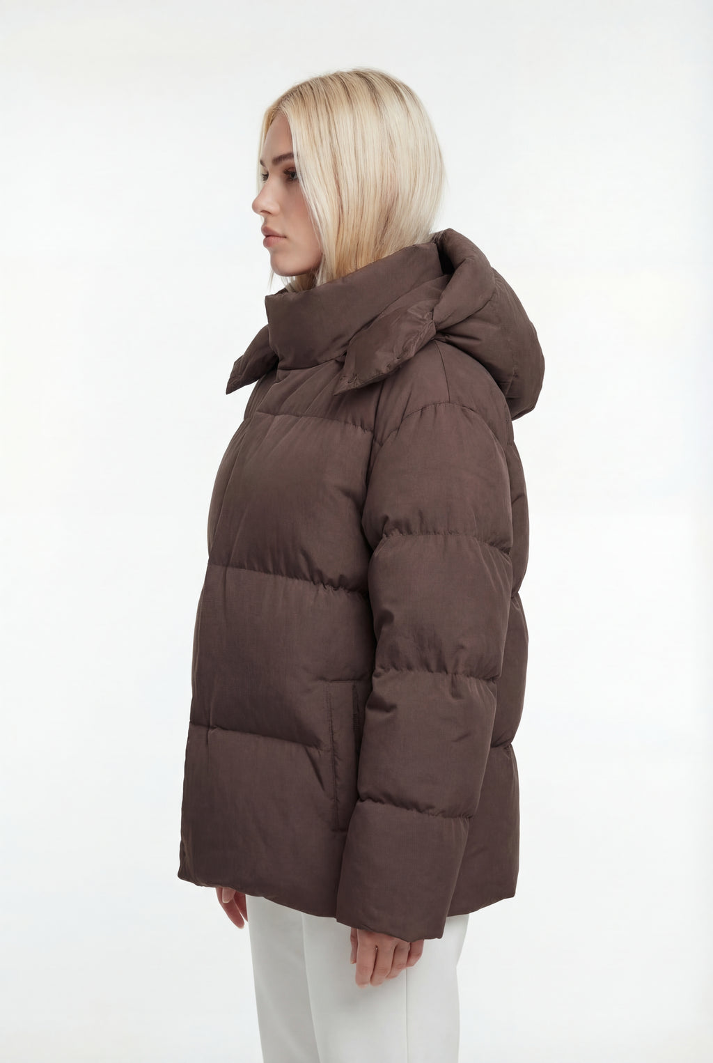 Pūsta žieminė parka