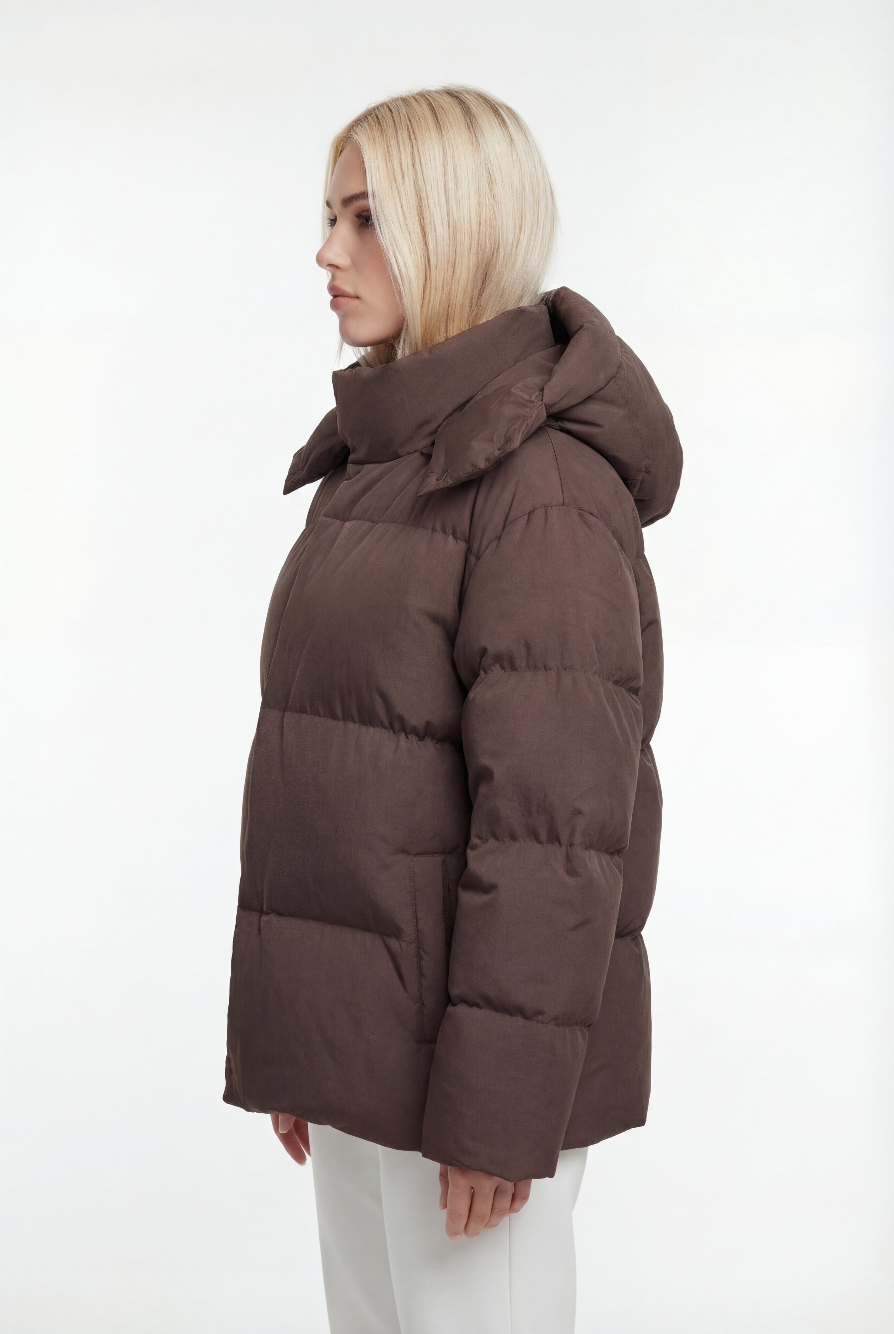 Pūsta žieminė parka