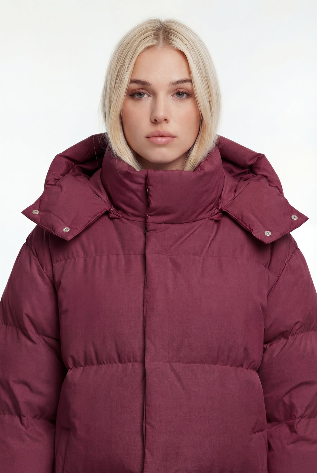 Pūsta žieminė parka