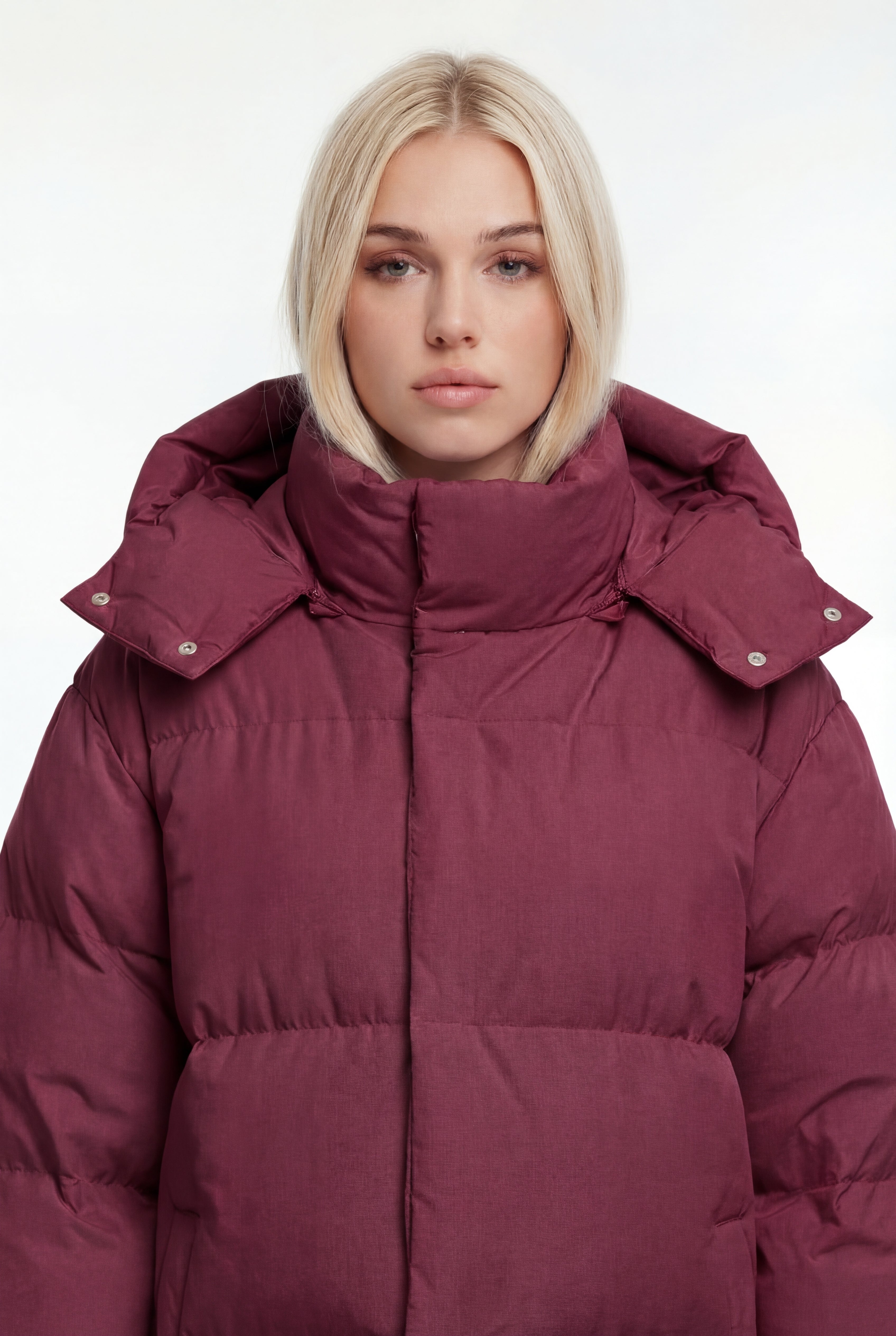 Pūsta žieminė parka